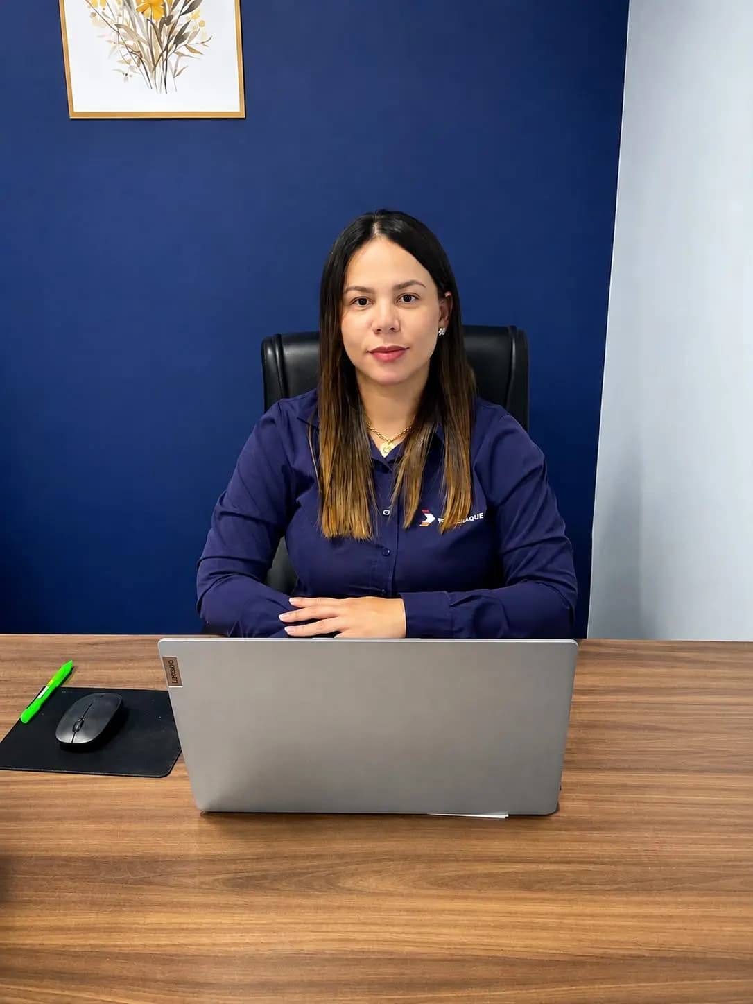 Consultora Comercial